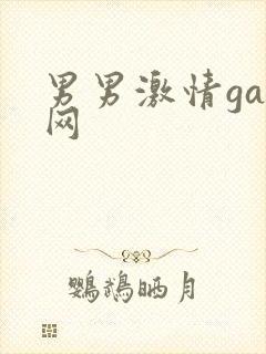 男男激情gay网