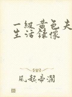 一级黄色夫妻性生活录像