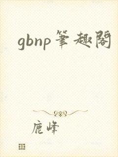 gbnp笔趣阁