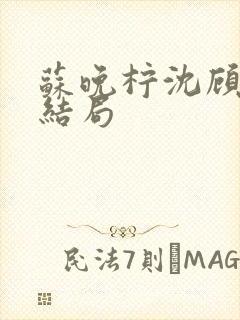 苏晚柠沈顾瑾大结局封面