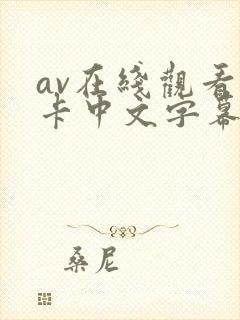 av在线观看不卡中文字幕