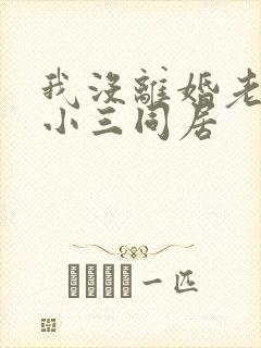 我没离婚老公和小三同居