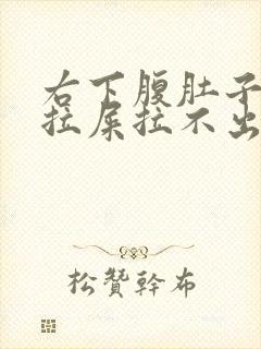 右下腹肚子疼想拉屎拉不出来怎么回事