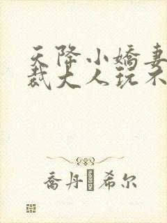 天降小娇妻,总裁大人玩不起封面