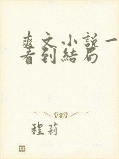 爽文小说一口气看到结局