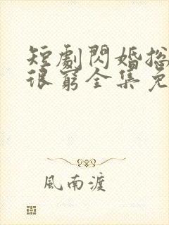 短剧闪婚总裁都很穷全集免费观看