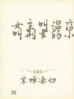 女主叫温窈男主叫刑聿的小说