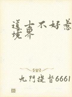 道士不好惹修炼境界