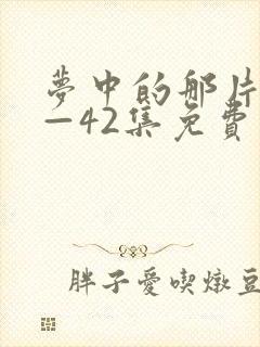 梦中的那片海1—42集免费观看