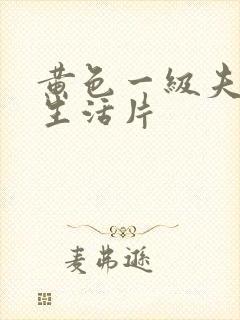 黄色一级夫妻性生活片