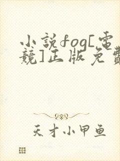 小说fog[电竞]正版免费