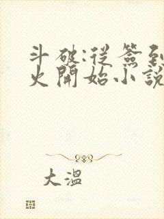 斗破:从签到异火开始小说封面