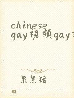 chinesegay视频gay视频gay封面