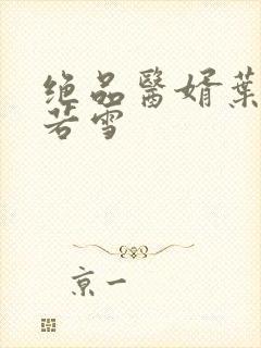 绝品医婿叶凡唐若雪