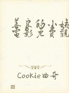 善良的小姨韩国电影免费观看