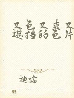 又色又爽又黄无遮挡的色片