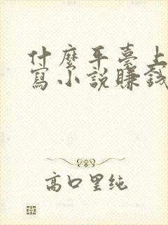 什么平台上可以写小说赚钱