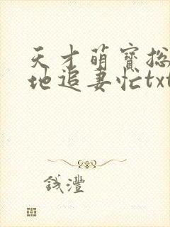 天才萌宝总裁爹地追妻忙txt