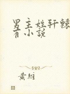 男主姓轩辕的所有小说