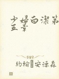 少妇白洁第二十五章