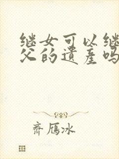 继女可以继承继父的遗产吗封面