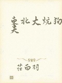 东北大炕狗儿姨夫封面