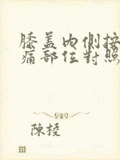 膝盖内侧按压疼痛部位对照表