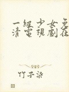 一级少女免费高清电视剧在线观看封面