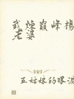 武炼巅峰杨开的老婆