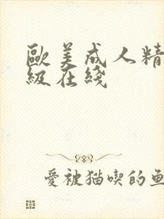 欧美成人精品三级在线