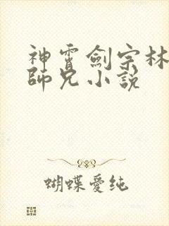 神霄剑宗林枫大师兄小说