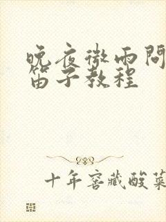 晚夜微雨问海棠笛子教程