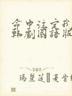 命中注定我爱你韩剧国语版免费观看