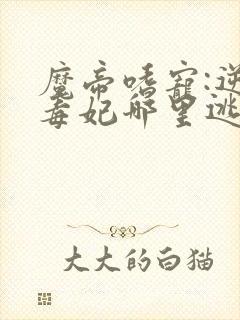 魔帝嗜宠:逆天毒妃哪里逃慕十七