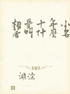 相爱十年小说原著叫什么名字封面