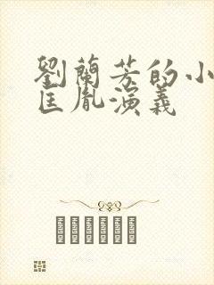 刘兰芳的小说赵匡胤演义