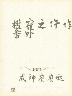 权宠之仵作医妃番外