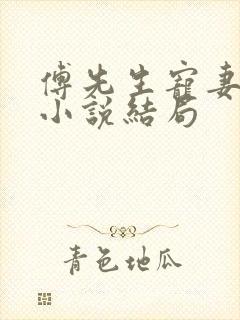 傅先生宠妻无度小说结局封面