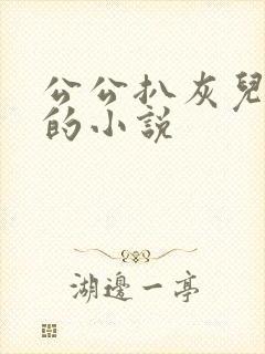 公公扒灰儿媳妇的小说封面