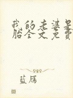 我的老婆是双胞胎全文免费阅读