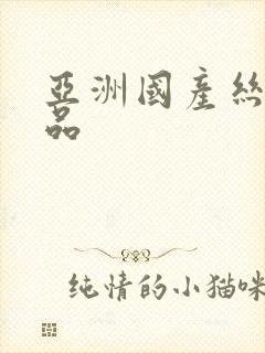 亚洲国产丝袜精品