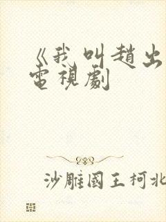 《我叫赵出息》电视剧