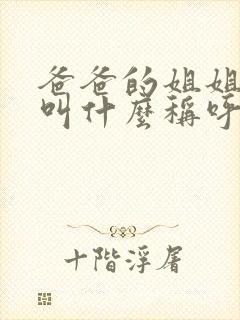 爸爸的姐姐老公叫什么称呼封面