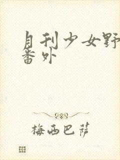 月刊少女野崎君番外