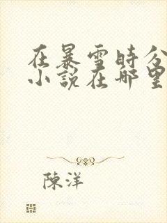 在暴雪时分原著小说在哪里免费看封面