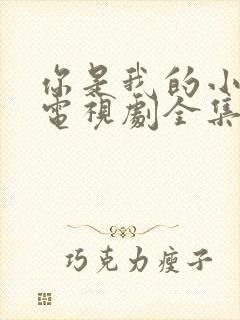 你是我的小确幸电视剧全集免费观看高清