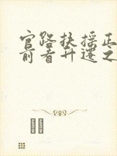 官路扶摇正版超前看升迁之路