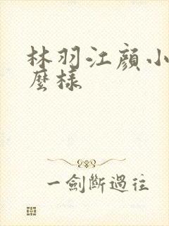 林羽江颜小说怎么样