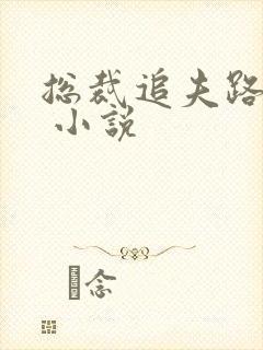 总裁追夫路漫漫 小说