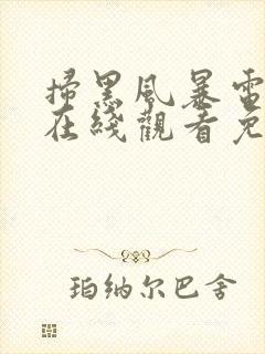 扫黑风暴电视剧在线观看免费完整版2021